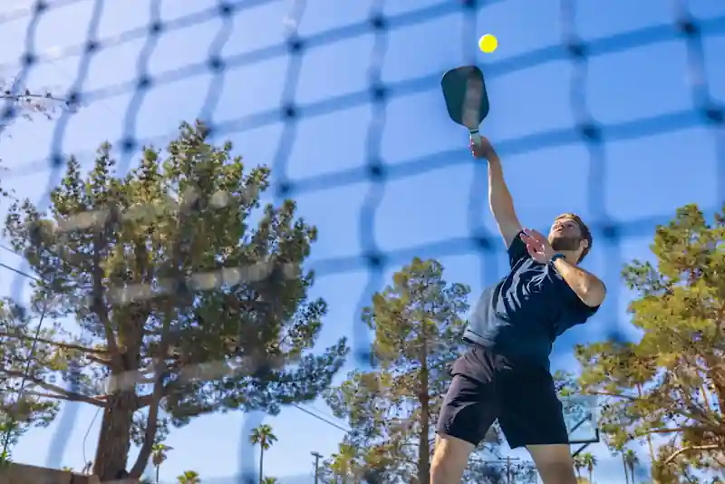 Programas de entrenamiento